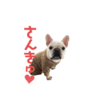 フレブルのマイル8（個別スタンプ：6）