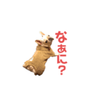 フレブルのマイル8（個別スタンプ：9）