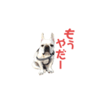 フレブルのマイル8（個別スタンプ：12）