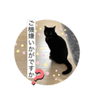 長女 にぼし②（個別スタンプ：1）