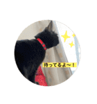 長女 にぼし②（個別スタンプ：2）