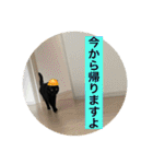 長女 にぼし②（個別スタンプ：3）