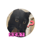 長女 にぼし②（個別スタンプ：9）