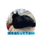 長女 にぼし②（個別スタンプ：12）