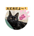 長女 にぼし②（個別スタンプ：14）
