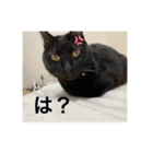 長女 にぼし②（個別スタンプ：16）