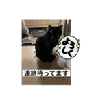 長女 にぼし②（個別スタンプ：20）