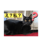 長女 にぼし②（個別スタンプ：22）