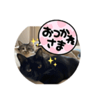 長女 にぼし②（個別スタンプ：23）