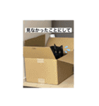 長女 にぼし②（個別スタンプ：25）