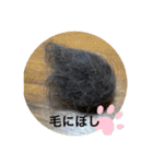 長女 にぼし②（個別スタンプ：28）