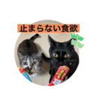 長女 にぼし②（個別スタンプ：29）