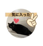 長女 にぼし②（個別スタンプ：30）