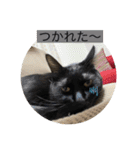 長女 にぼし②（個別スタンプ：32）