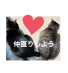 長女 にぼし②（個別スタンプ：36）