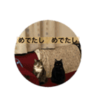 長女 にぼし②（個別スタンプ：37）