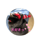 長女 にぼし②（個別スタンプ：38）