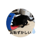 長女 にぼし②（個別スタンプ：39）