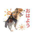 ノアエマ劇場3（個別スタンプ：4）