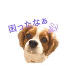 ノアエマ劇場3（個別スタンプ：16）