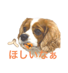 ノアエマ劇場3（個別スタンプ：22）