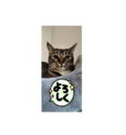 卡哇伊の（個別スタンプ：5）