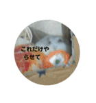 こしあんさんの日常その3（個別スタンプ：3）