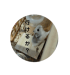 こしあんさんの日常その3（個別スタンプ：4）