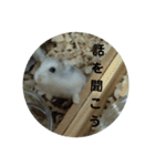 こしあんさんの日常その3（個別スタンプ：6）
