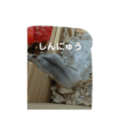 こしあんさんの日常その3（個別スタンプ：9）