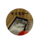 こしあんさんの日常その3（個別スタンプ：13）