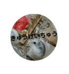こしあんさんの日常その3（個別スタンプ：16）