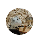 こしあんさんの日常その3（個別スタンプ：17）
