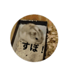 こしあんさんの日常その3（個別スタンプ：19）