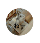 こしあんさんの日常その3（個別スタンプ：20）