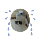 こしあんさんの日常その3（個別スタンプ：27）