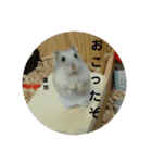 こしあんさんの日常その3（個別スタンプ：28）