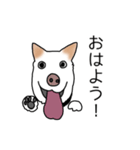 MIX中型犬HANA花スタンプ（個別スタンプ：1）