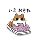 もちゃねこ茶白（個別スタンプ：1）