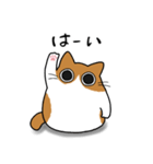 もちゃねこ茶白（個別スタンプ：6）