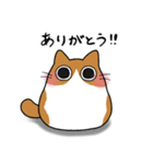 もちゃねこ茶白（個別スタンプ：11）