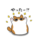 もちゃねこ茶白（個別スタンプ：13）