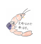 エビを求めるエビ（個別スタンプ：24）