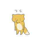 たぬきくんきつねくん2（個別スタンプ：14）