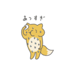 たぬきくんきつねくん2（個別スタンプ：37）