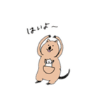クォッカちゃんのお返事（個別スタンプ：6）