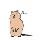 クォッカちゃんのお返事（個別スタンプ：7）