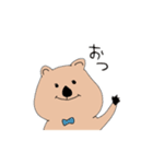 クォッカちゃんのお返事（個別スタンプ：10）