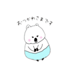 クォッカちゃんのお返事（個別スタンプ：12）