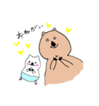 クォッカちゃんのお返事（個別スタンプ：13）